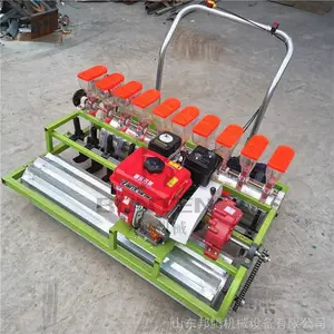 �����;����� С���������õ�6�аײ˲��ֻ�����