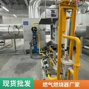 汽车产线水槽加热燃烧器 烤漆烘干房天然气燃烧器源头厂家岱鼎燃烧