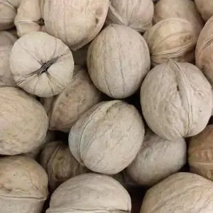 新产季185纸皮核桃 皮薄果仁饱满 出口级核桃供应