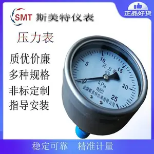 ��Ĥ���ѹ����YTP100F0.1-0.15MPa 316L�ڳ��ķ� ��ĤƬ