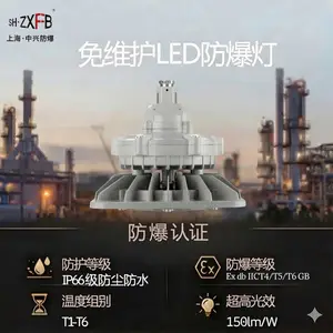 250W防爆泛光灯 传统光源升级款 工业改造用 化工厂加油站可用