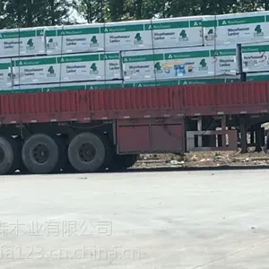 余姚国产加松生产