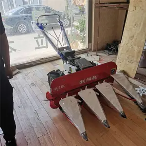���������ո�� ���������ո����������