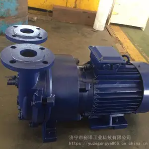 水环式真空泵 工业用抽真空机 负压泵 高真空抽气小型防爆