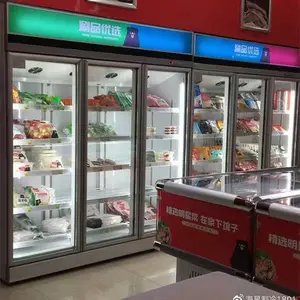 湖北立式冷冻展示柜哪里有卖的