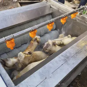 ����ϴţ����� ������ϴ�� �����ƻ���ţ����ˢϴ����