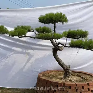 ���ͺ����� ΢С�ͺ����辰 ���Ժ��� ����Ⱦ ��԰����ͥԺ�쾰