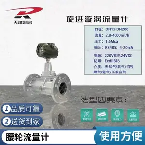 远传流量计 不锈钢304材质 仪表温压补偿 特殊尺寸可定制产品