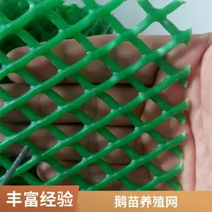 银盛 六角孔塑料平网 pe材质 用于肉鸡养殖 原包料生产