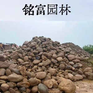 规格30-60cm大块河石 园林溪流置石 护坡工程河滩石现 货供 应