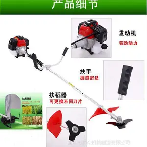 ���͸�ݻ� �����ո�� �ĳ�̹�԰���ݻ� ����