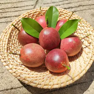 ���ʺ�רҵ��Ӧ��������Ѱ�ڰ������Ӧ����ͨ�����������ڸ�