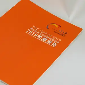 专业设计印刷 年度报告,年终总结,年度数据排版制作