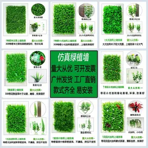��ֲǽ����ֲ��ǽ��̨���ϼ�ֲ�ﻨǽ��ͷ����ֲ���ʽ���쾰��