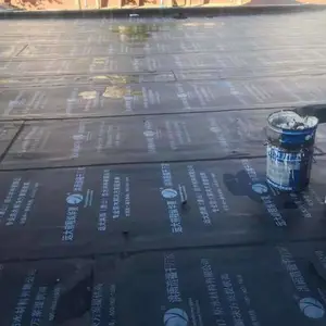 ����������ש ��׼��© ���׼���