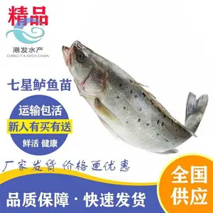 �ձ��������� ��ˮ���� �������� ����������ֳ����