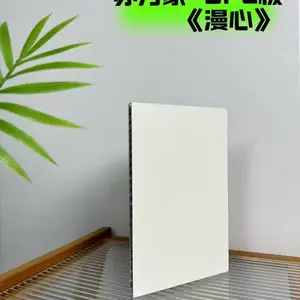 SPC铝蜂窝墙板