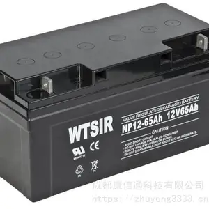 UPS蓄电池12V100AH|成都UPS电池|成都EPS电池|成都蓄电池更换
