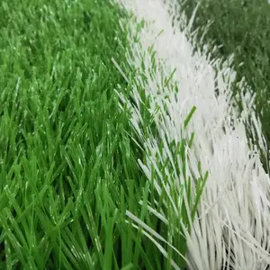 �����л����� ��ɫ���� ������ɫ����֧�ֶ��� ʩ��Ҫ��������ڶ�