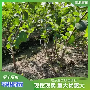 ̨��ţ���������������� �۸����