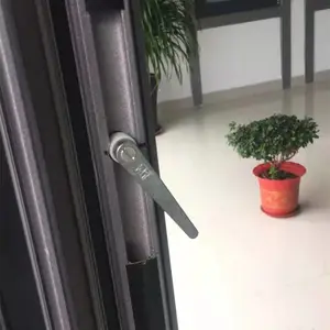 ŵ��roto ƽ���� �Ź���