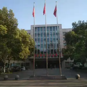 武汉阿派朗科技有限责任公司