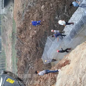 德隆亮供应湖北武汉10*10高尔凡格宾网箱价格***