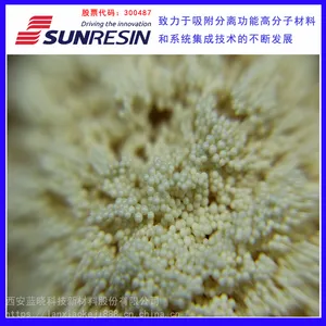 蓝晓科技供应脱色脱蛋白 离子交换树脂LX-98 抗生素脱蛋白脱色
