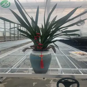 �ִ�ũҵ���Ҵ����ص�ؼ��������ƶ��紲