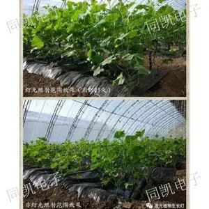 西安果品生长灯费用是多少 欢迎来电 西安同凯电子科技供应