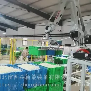 供应ZXSB-210/270宙西森豆芽厂码筐机器人