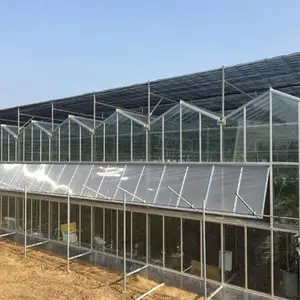博利品牌 番茄西红柿种植 智能温室大棚 机械化操作 提高生产率