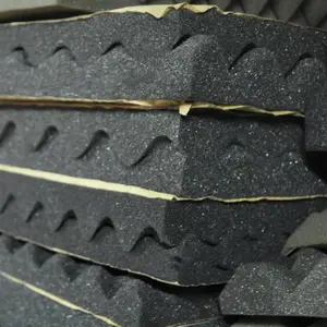 ���ڻ�����ѧ���� ���������� ��͹�����弦����
