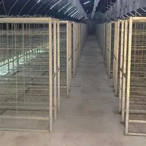 ���ʹ������㹽���������� ��п������������ɫ�ߴ�ɶ���