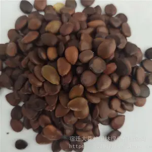 �����²�ժ��ľ���� Ұ�������� ��ѿ*** �۸���� ***