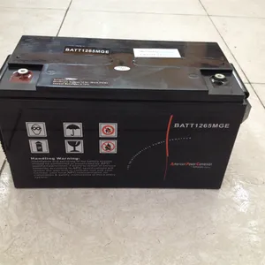�żҿ�÷���������ش�����M2AL12-10012V100AH