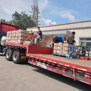 ���մ�/��ݸ��Ϫ����������ר�� ���ķ���/������