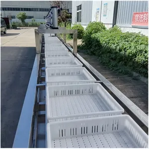 全自动时产2000斤豆腐生产线 不锈钢自动冲浆 传送式气压压榨设备