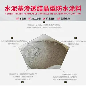 垃圾池抹面用渗透结晶防水涂料 喷涂粉刷即可 氰凝面漆
