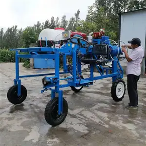 ���ֳ���ʽ��ҩ�� ����ʽ���ִ�ҩ�� 100����������ҩ��
