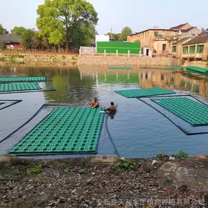 人工生态浮岛 水库河道水体绿化工程 水面植物浮床