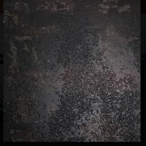 DI SEGNI表面处理(瑞玛森实业)