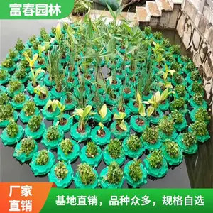 �нӸ���ˮ��ֲ�︡���ӵ��̻���ˮֲ����̬���������̻�����