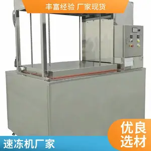供应水饺面食品流态化速冻机 鸡翅速冻设备 汤圆豆沙包食品冷冻机