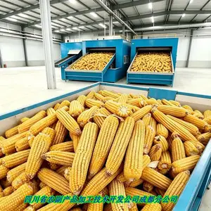 玉米果穗烘干机 玉米棒子高效烘干设备 木山4型 脱水均匀不损伤籽粒