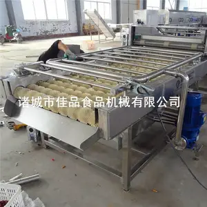 绿色蔬菜清洗机|有机蔬菜清洗机