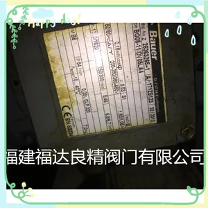 �¹�BAUER�������ٵ��BS02-38H/DU04LA4-S/E003B7/SP