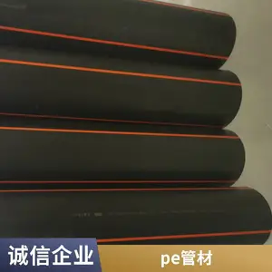 HDPE�����ܵ� ú��ȼ������ ֧�ֶ��� PE�� ��� DN200