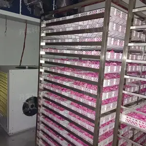 玫瑰花烘干机 茉莉花烤房 外形颜色自然 空气能热泵