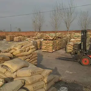 ���������Ե����峧��